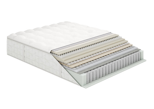 Timeless Odyssey M2 Luxetop Firm